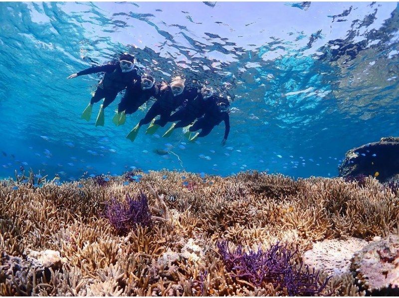 [Miyakojima] [Fully Private] Snorkel with tropical fish and coral in an underwater paradise