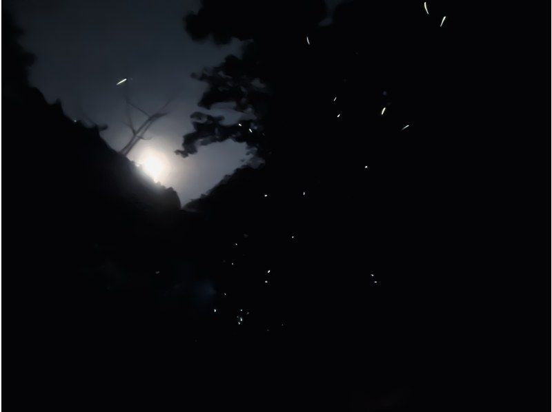 《カヤック体験》星と蛍が煌めく明神湖のナイトカヤックツアー！静かな湖面を漕ぎながら幻想的な夜景を楽しもう！の紹介画像