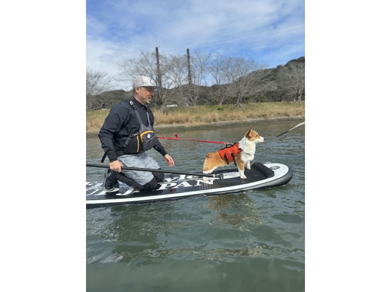 [Lake Yamanaka Dog SUP] Enjoy with your dog at the foot of Mt. Fuji! Guided by a qualified dog SUP instructor!の紹介画像