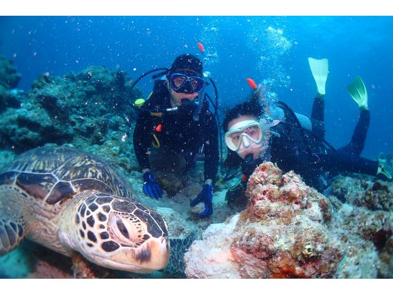 【アオウミガメチャレンジの２DIVE】水中世界を覗く1日体験ダイビングコース♪【沖縄・石垣島】の紹介画像