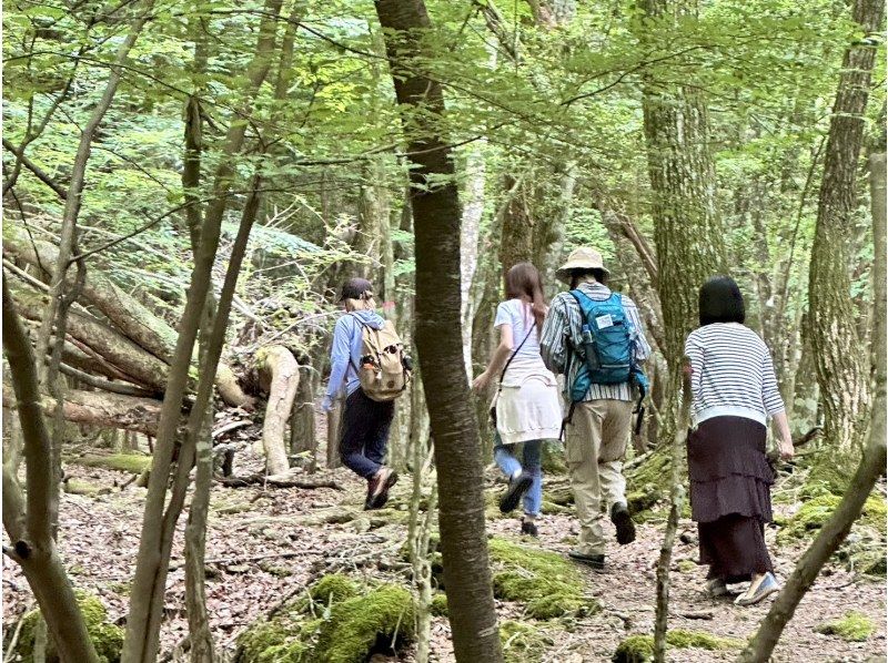 [Yamanashi Prefecture, Lake Kawaguchi] Bring an exploration map and head out! Explore the Jukai forest with a guideの紹介画像