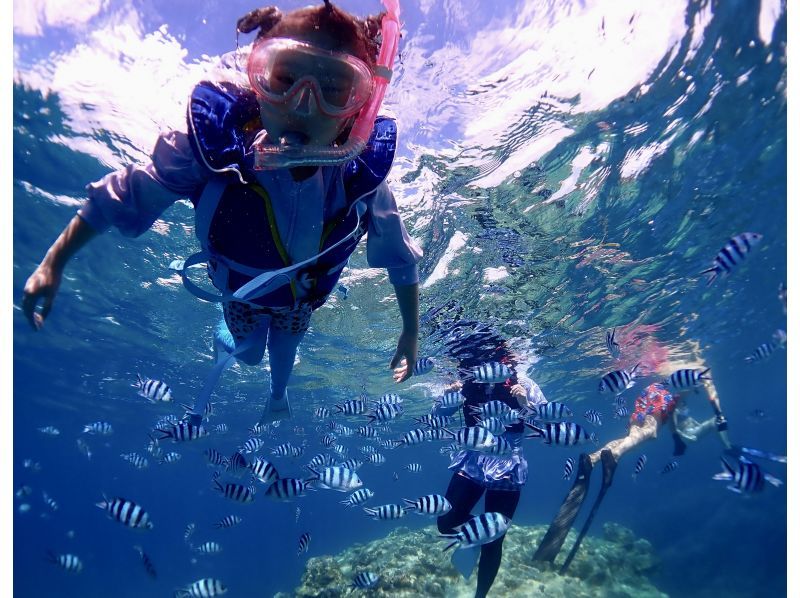 【沖縄・石垣島】大人気ウミガメシュノーケルツアーの紹介画像