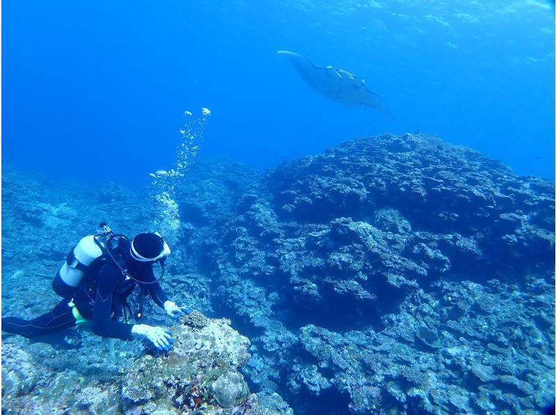 【沖縄県・石垣島】ファンダイビングコース　3diveの紹介画像