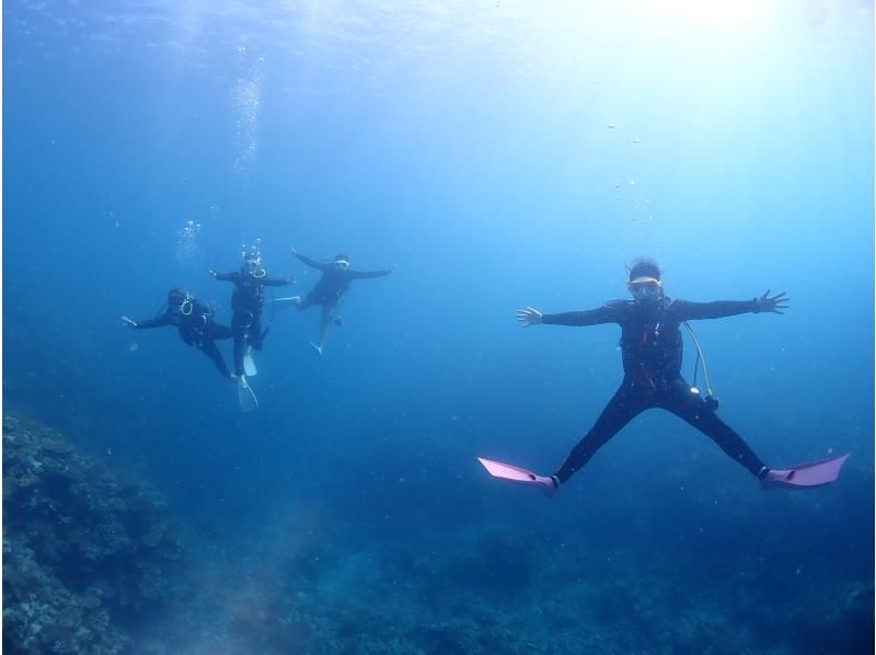 【沖縄県・石垣島】ファンダイビングコース　3diveの紹介画像