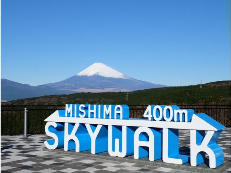 海から山から湖から眺める！日本一の富士山バスツアー～沼津港魚河岸「丸天」の海鮮丼もお楽しみ～【029029‐942】の紹介画像