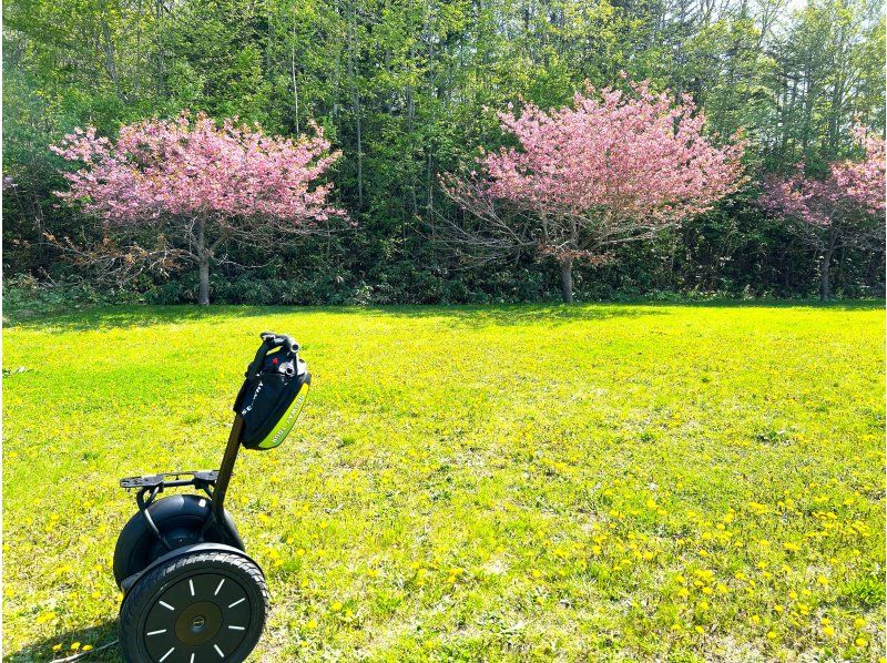 【北海道・札幌】大自然を巡る♪春はお花見！ セグウェイに乗って滝野すずらん丘陵公園の広大なエリアを探索！の紹介画像