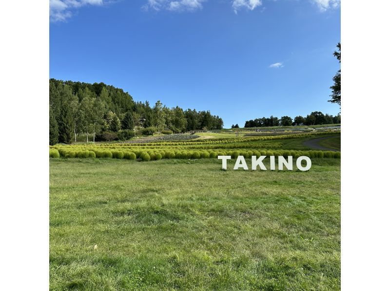 SALE! [Hokkaido, Sapporo] Explore the great outdoors ♪ Ride a Segway and explore the vast area of ​​Takino Suzuran Hillside Park, the "Takino Forest Zone"!の紹介画像