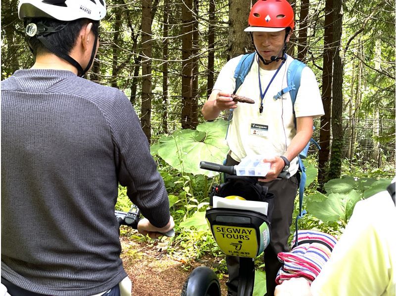 【北海道・札幌】大自然を巡る♪森林浴で癒される！ セグウェイに乗って滝野すずらん丘陵公園の広大なエリアを探索！の紹介画像