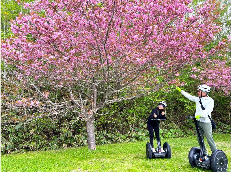 [Hokkaido, Sapporo] Explore the great outdoors ♪ Cherry blossom viewing in spring! Ride a Segway and explore the vast area of Takino Suzuran Hillside Park!の紹介画像