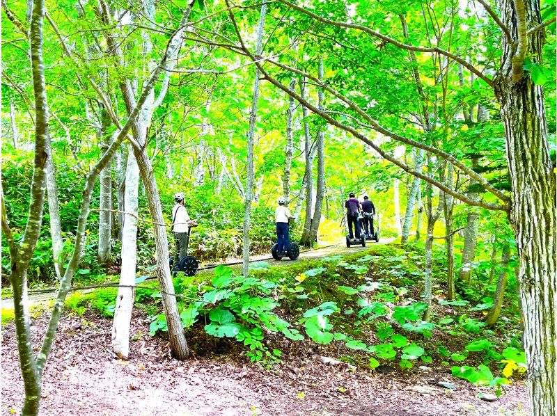 【北海道・札幌】大自然を巡る♪春はお花見！ セグウェイに乗って滝野すずらん丘陵公園の広大なエリアを探索！の紹介画像