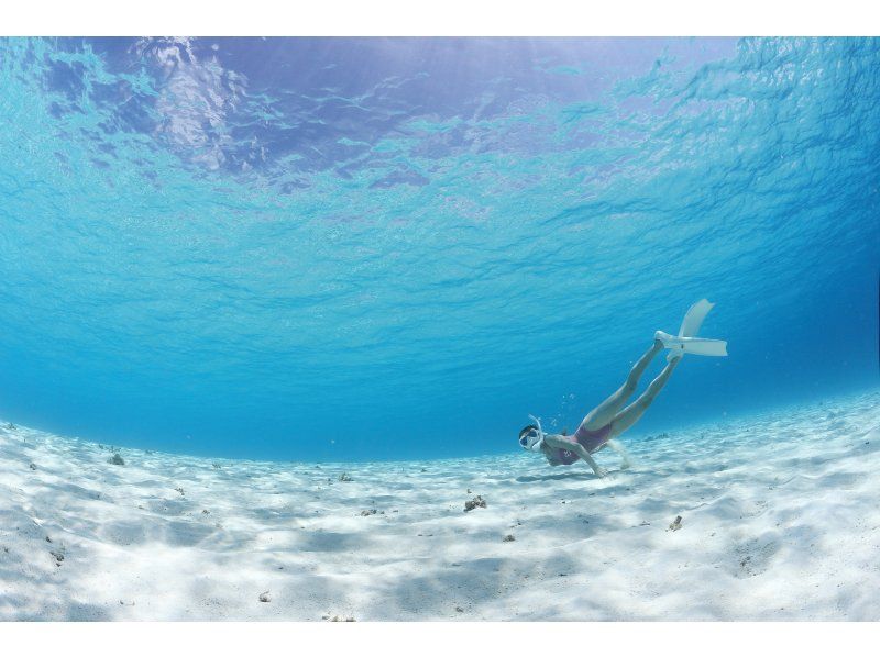 【宮古島・八重干瀬シュノーケリング】宮古の海は、天然の水族館！ボートに乗って、泳いで楽しもう！の紹介画像