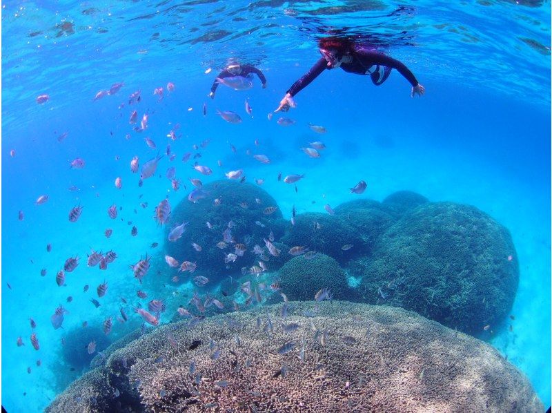 【宮古島・ボートスノーケル】宮古の海は、天然の水族館！ボートに乗って、泳いで楽しもう！の紹介画像