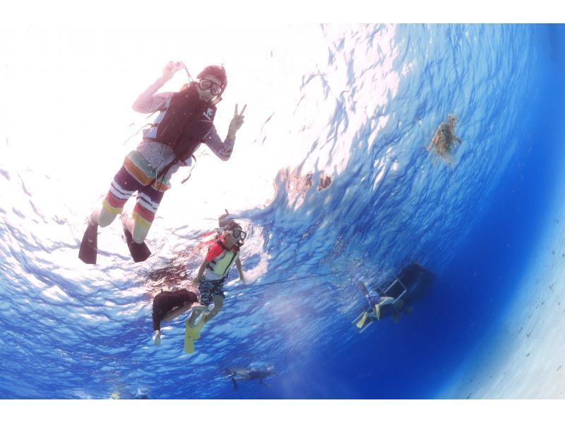 【宮古島・ボートスノーケル】宮古の海は、天然の水族館！ボートに乗って、泳いで楽しもう！の紹介画像