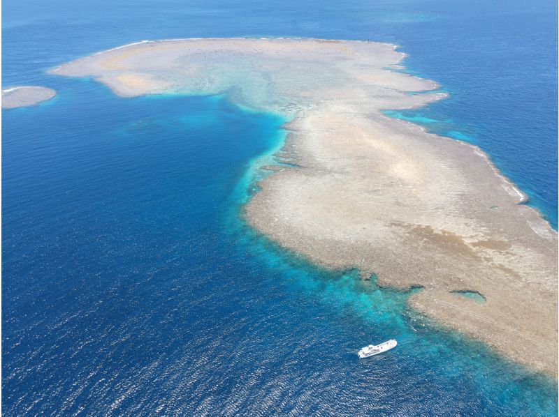 【宮古島・八重干瀬シュノーケリング】宮古の海は、天然の水族館！ボートに乗って、泳いで楽しもう！の紹介画像