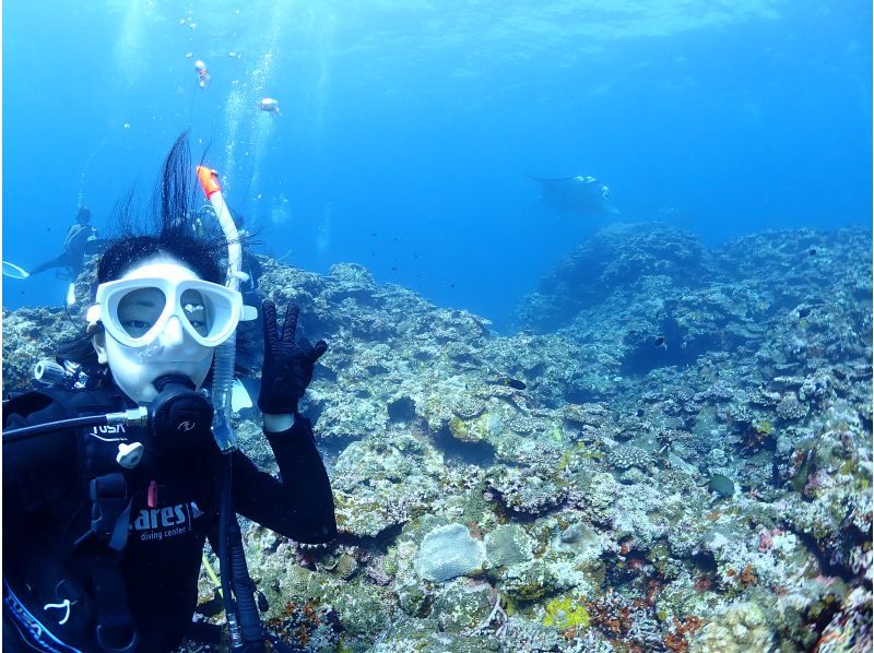 【沖縄県・石垣島】ファンダイビングコース　2diveの紹介画像