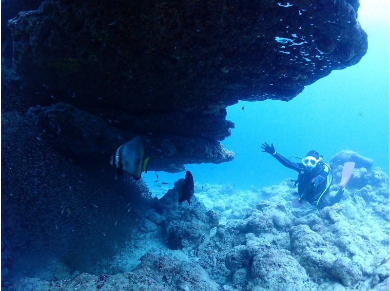 【沖縄県・石垣島】ファンダイビングコース　2diveの紹介画像