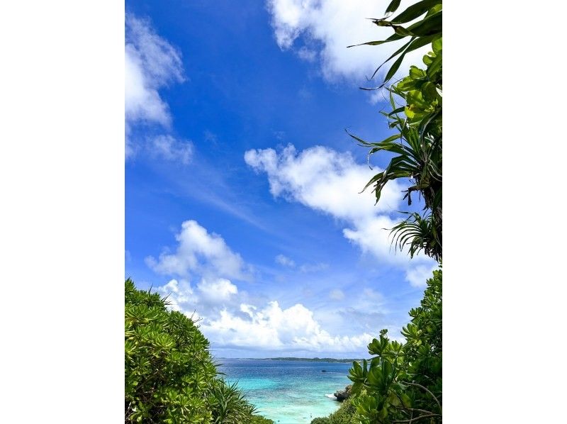 [Okinawa, Miyakojima] Experience nature! A 3-hour walking tour around the beach, caves, observation decks, etc. / Families, friends, couples, individuals, and children are welcomeの紹介画像