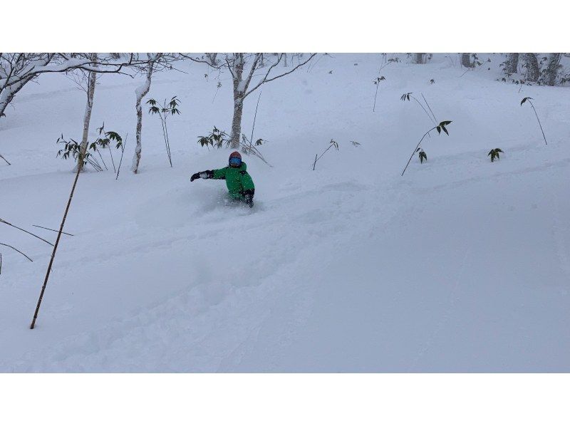 [留寿都 |粉雪指南】体验边疆最细腻的粉雪！由于有专业导游陪同，即使是第一次滑雪，也可以安心享受粉雪！の紹介画像