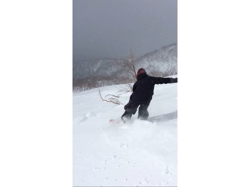 [留寿都 |粉雪指南】体验边疆最细腻的粉雪！由于有专业导游陪同，即使是第一次滑雪，也可以安心享受粉雪！の紹介画像