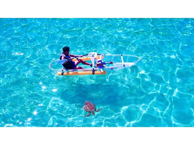 【有英文】☆海龜邂逅率99.9%☆透明皮划艇～推薦給有小孩的家庭～の紹介画像