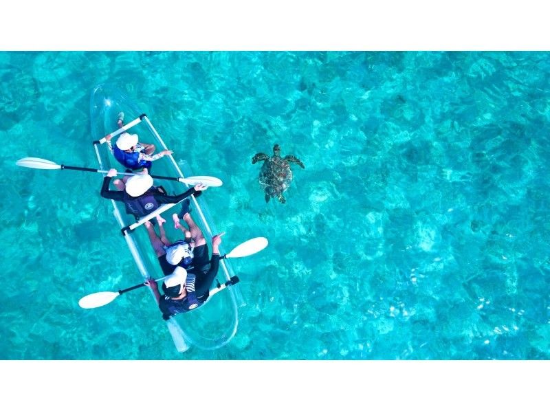 【有英文】☆海龜邂逅率99.9%☆透明皮划艇～推薦給有小孩的家庭～の紹介画像