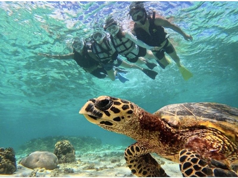 【宮古島｜遭遇率100%継続中！】《 1組貸切ウミガメシュノーケル》★春休み限定割引中(早期予約OK)★ウェット・レンタル全て無料！の紹介画像