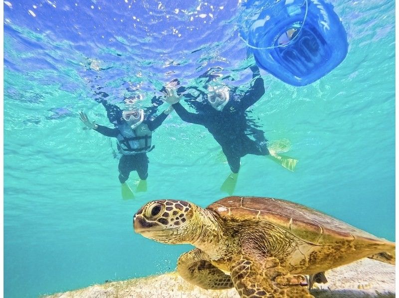 【1組限定！2024年度遭遇率100%】《 貸切ウミガメシュノーケル！》★GoPro無料貸出★ファミリー大歓迎★前日・当日予約OK！の紹介画像