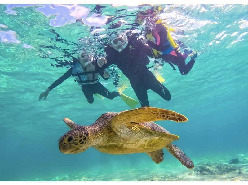 【1組限定！2024年度遭遇率100%】《 貸切ウミガメシュノーケル！》★GoPro無料貸出★ファミリー大歓迎★前日・当日予約OK！の紹介画像