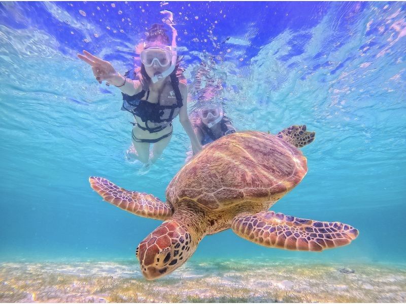 【1組限定！2024年度遭遇率100%】《 貸切ウミガメシュノーケル！》★GoPro無料貸出★ファミリー大歓迎★前日・当日予約OK！の紹介画像