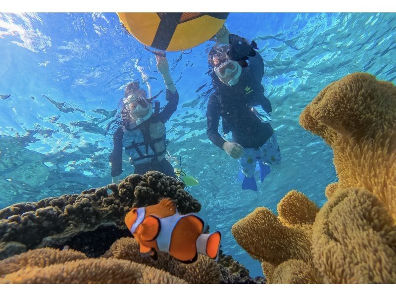 【宮古島｜遭遇率100%継続中！】《 1組貸切ウミガメシュノーケル》★春休み限定割引中(早期予約OK)★ウェット・レンタル全て無料！の紹介画像