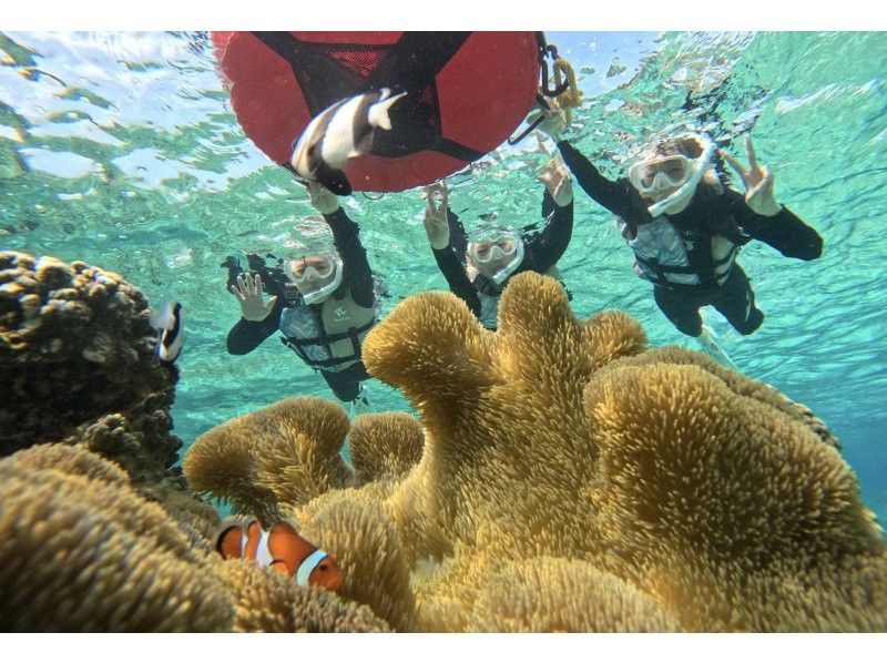 【1組限定！2024年度遭遇率100%】《 貸切ウミガメシュノーケル！》★GoPro無料貸出★ファミリー大歓迎★前日・当日予約OK！の紹介画像
