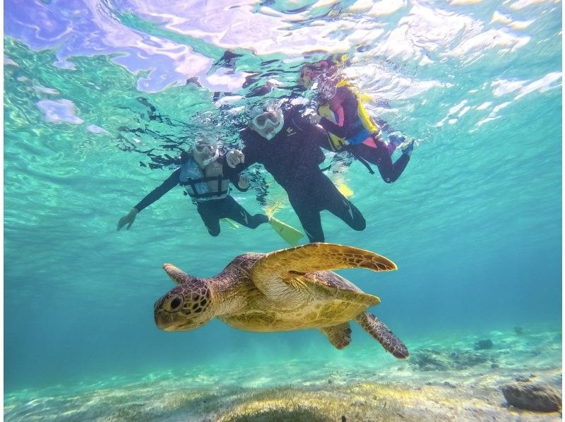 【宮古島｜遭遇率100%継続中！】《 1組貸切ウミガメシュノーケル》★春休み限定割引中(早期予約OK)★ウェット・レンタル全て無料！の紹介画像