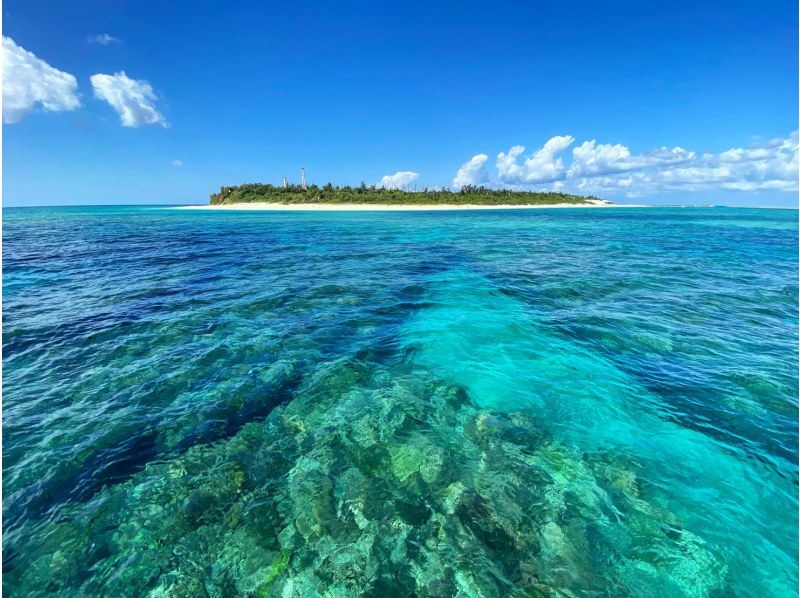 [Okinawa, northern part of the main island (Motobu Town)] Cruising | Churaumi Cruise tour around the coast of the Motobu Peninsula, including Iejima, Minnajima, and Sesokojima ♪ <Participation OK for children aged 0 and over>の紹介画像