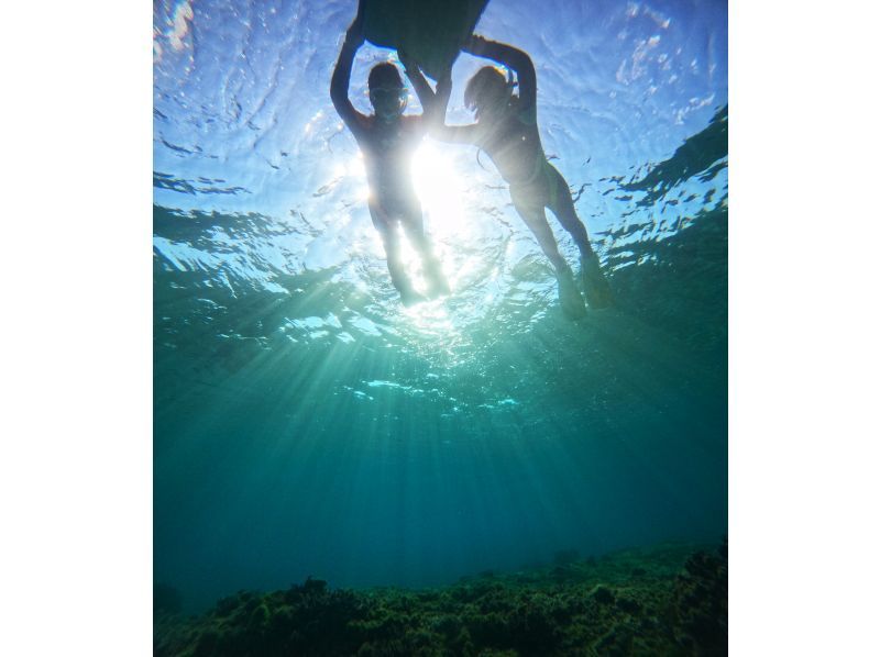 【鹿児島・奄美大島】貸切シュノーケリング！青い海にぷかぷか浮かんで ウミガメや生き物たちと過ごす、心を洗う癒やしの時間の紹介画像