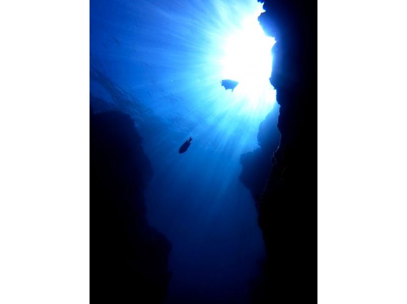 【鹿児島・奄美大島】貸切体験ダイビング！青い海の中にどっぷり！命を感じる神秘の体験、大自然と過ごす、心が洗われるあなただけの時間♪の紹介画像