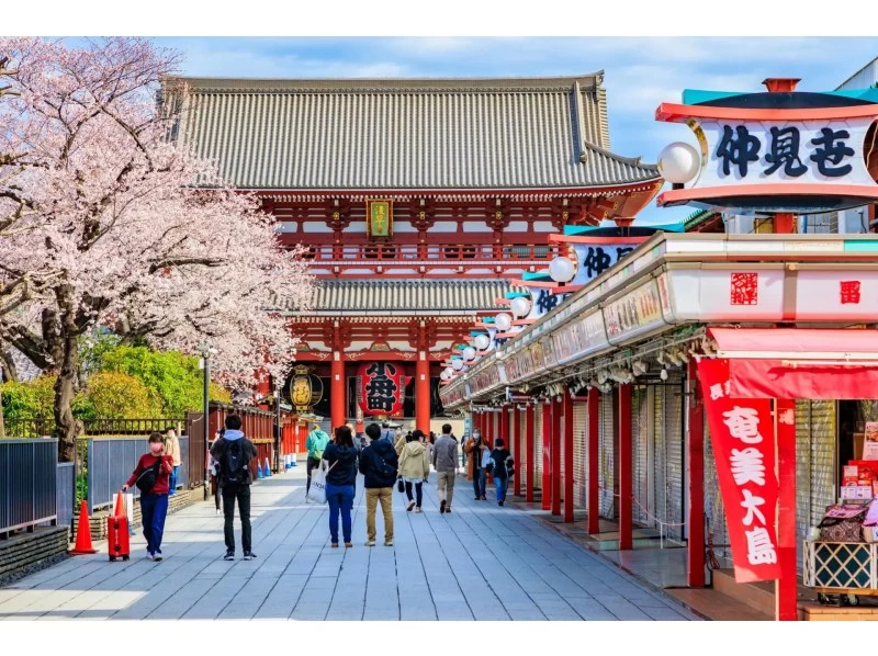 【東京・浅草】浅草にて魅力的な日本の伝統・文化の体験ツアー（雷門・仲見世通り・浅草寺散策、会席料理、芸者の日本舞踊）の紹介画像