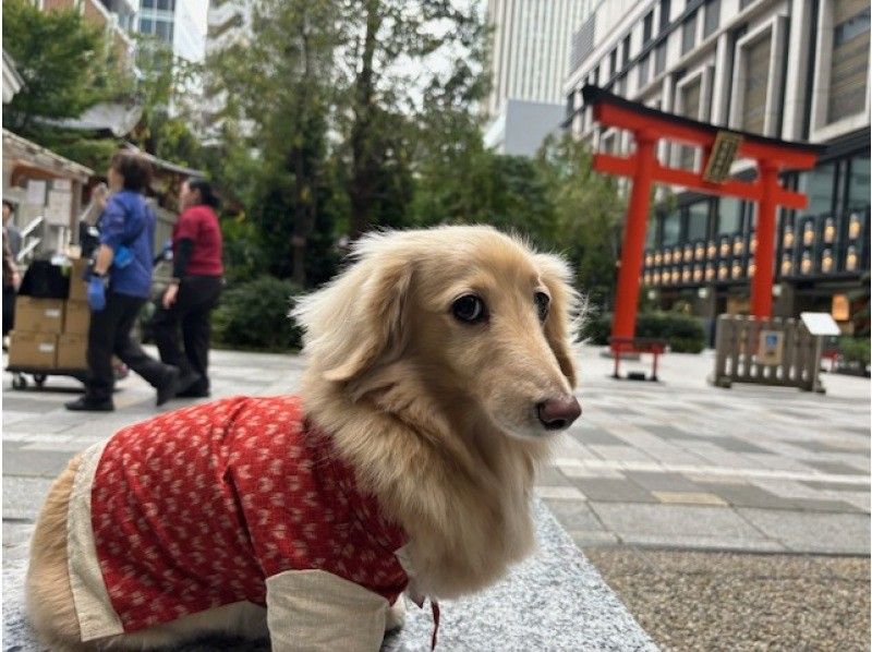 【東京・浅草】浅草にて魅力的な日本の伝統・文化の体験ツアー（雷門・仲見世通り・浅草寺散策、会席料理、芸者の日本舞踊）の紹介画像