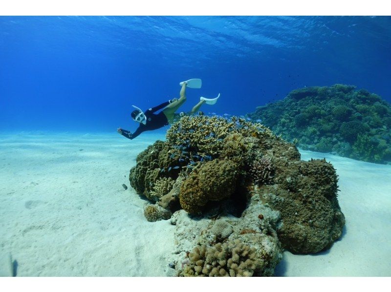 [Okinawa Motobu] Skin diving, 3 types of marine sports set