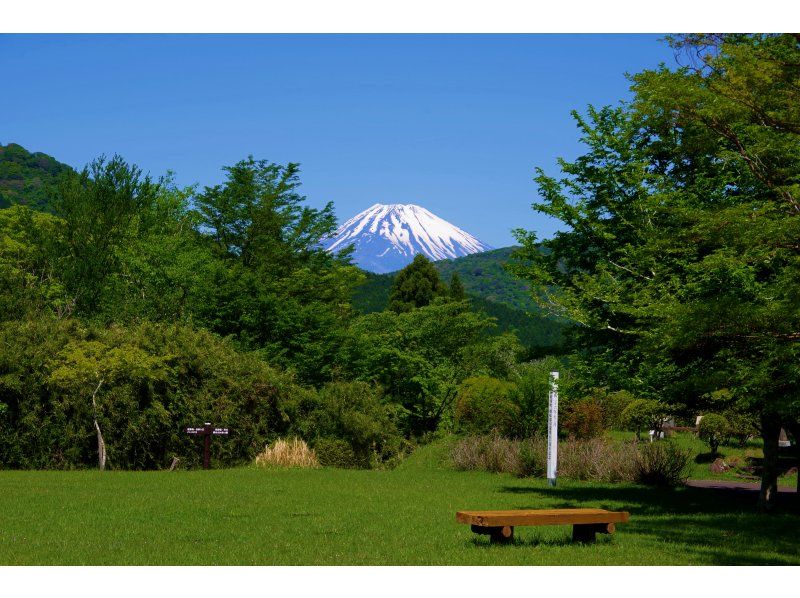 【神奈川・箱根・元箱根】箱根のビーチでKOMOREBIチルツアーの紹介画像