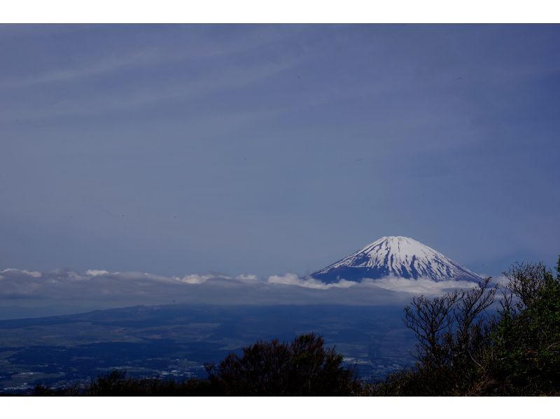 【神奈川・箱根】箱根外輪山最高峰金時山登山ツアーの紹介画像