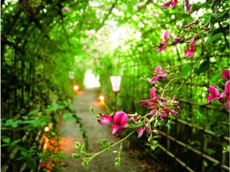 秋の花咲く2つの大名庭園と萩まつり＆特別公開の屋上庭園見学バスツアー　～蕎麦御膳のご昼食付～【029029-1354】の紹介画像