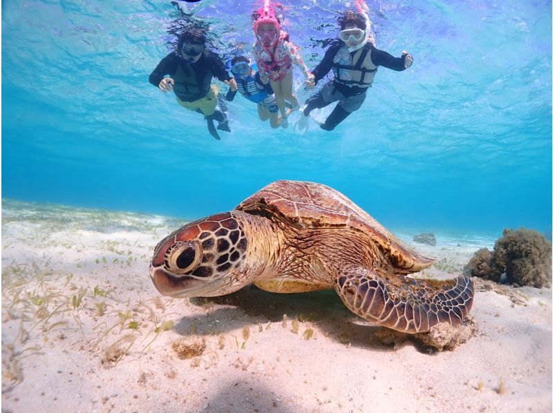 SALE! [Miyakojima] {Family-only discount} Have fun with the whole family! Private sea turtle snorkeling that even kids will be excited about! ★Guides that are extremely popular with kids will guide you!の紹介画像