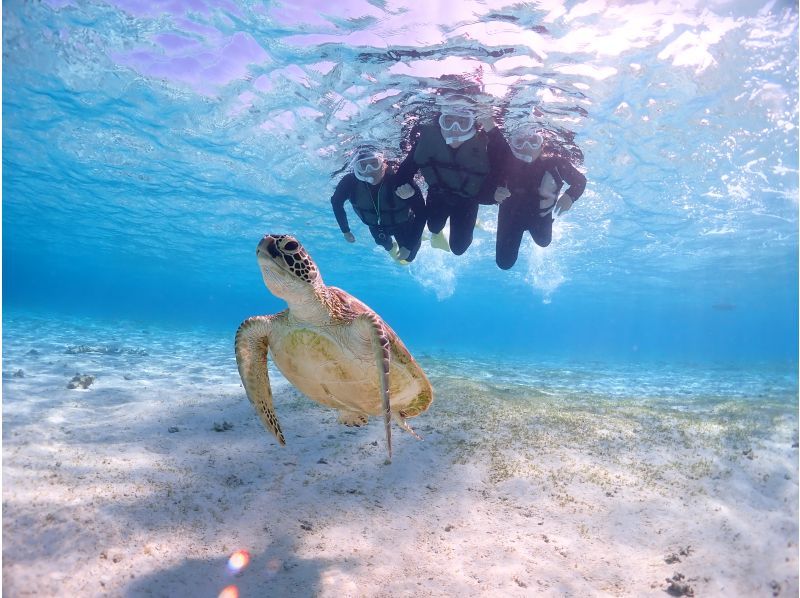 [Miyakojima] {Family-only discount} Have fun with the whole family! Private sea turtle snorkeling that even kids will be excited about! ★Guides that are extremely popular with kids will guide you!の紹介画像