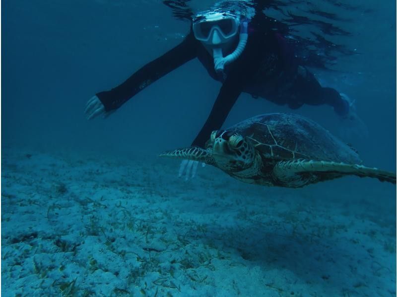 [ถูก] สนุกในราคาสุดคุ้ม! - เซ็ตส่วนลด! “Uni-no-Hama หรือ Sea Turtle Snorkel หรือ Sapp Tour” ทัวร์ทั้งหมดรวมการถ่ายภาพฟรี! -の紹介画像