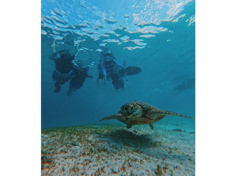 【便宜】超值享受！ ！定折扣！ 「Uni-no-Hama 或海龜浮潛或 Sapp 之旅」 所有行程均包含免費攝影！ ！遊覽時間約2個半小時！の紹介画像