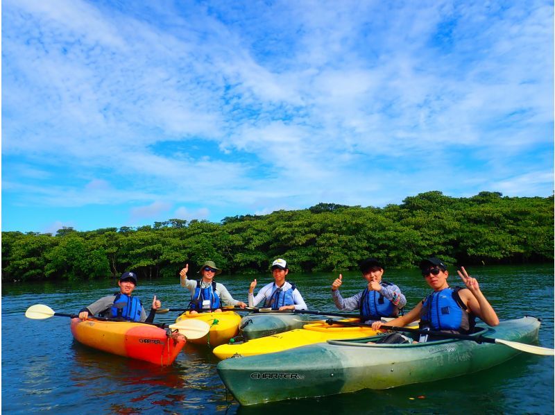 【西表島/半日】石垣島から参加可能　トレッキングがないマングローブカヌー体験、漕がなくても楽しめるの紹介画像