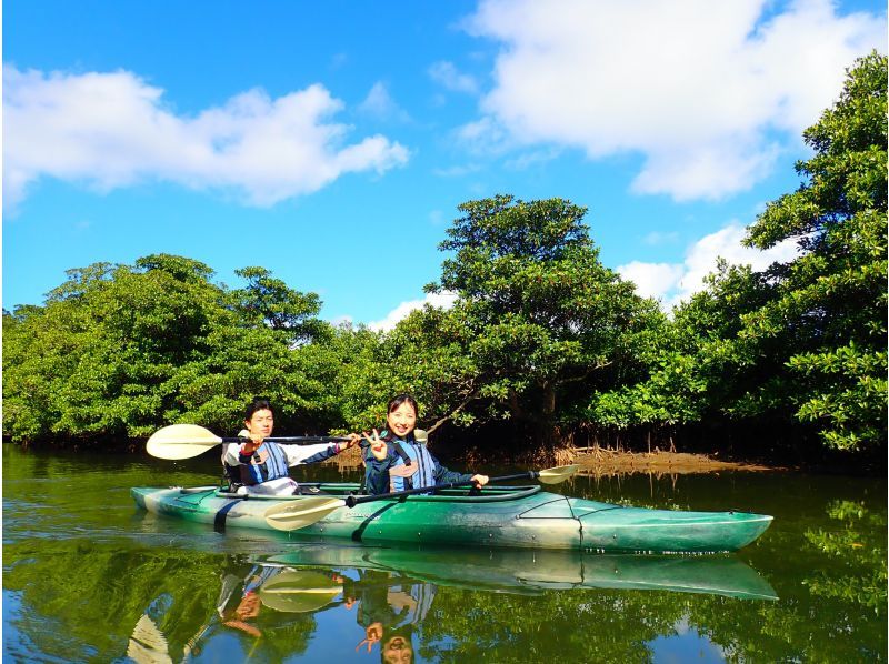 【西表島/半日】石垣島から参加可能　トレッキングがないマングローブカヌー体験、漕がなくても楽しめるの紹介画像