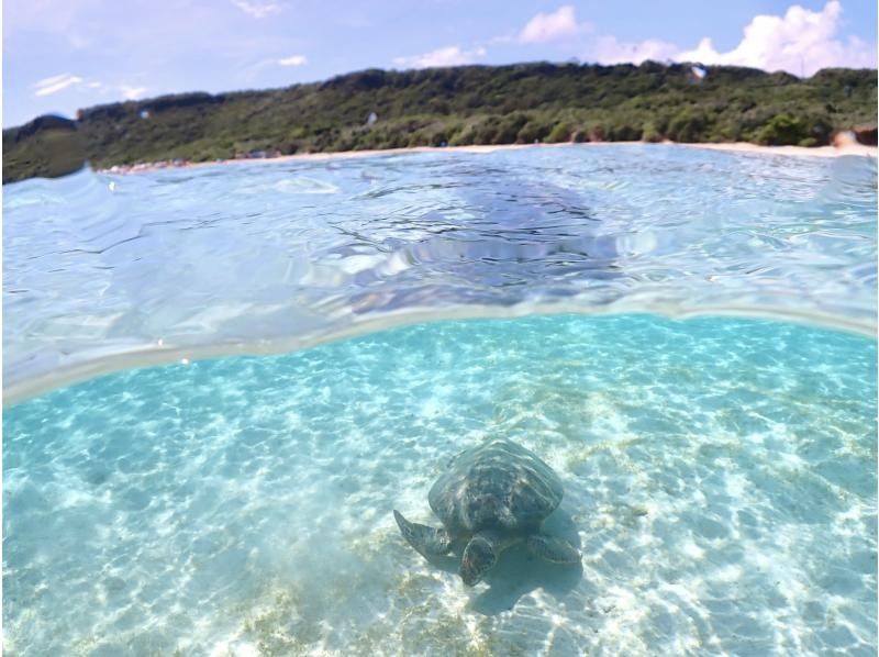 宮古島《ライフジャケット不要でSNS映え★》【ウミガメシュノーケリング】遭遇率100%継続中！写真データ無料！の紹介画像