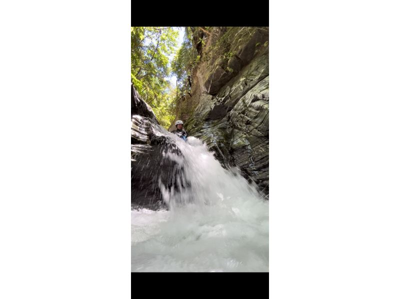 [Okinawa, Yanbaru] Enjoy playing in the river in the jungle! canyoning and waterfall climbing!