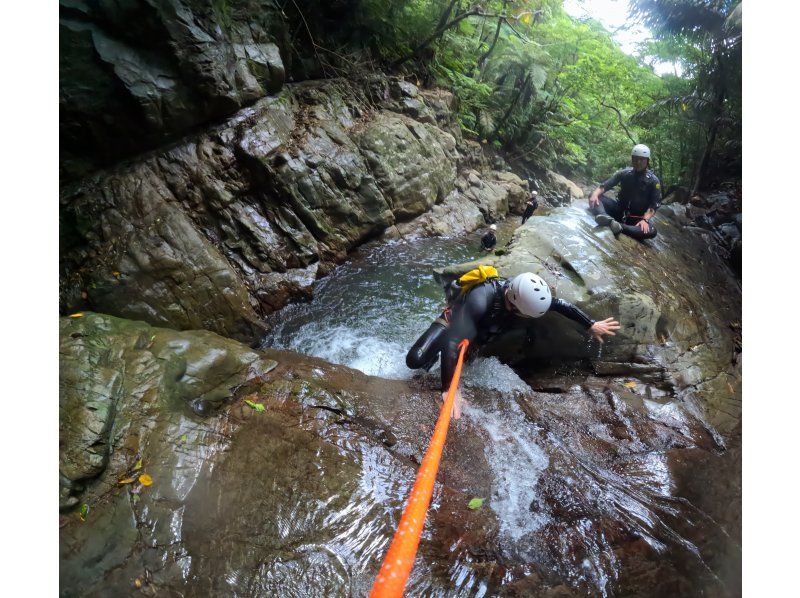[Okinawa Yanbaru] Enjoy river swimming in the vast jungle with your family, friends, or even by yourself! Experience the extraordinary thrill of canyoning and shower climbing!の紹介画像